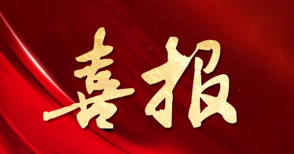 喜報 | 杭州園林股份獲評“2024年度杰出貢獻(xiàn)獎”